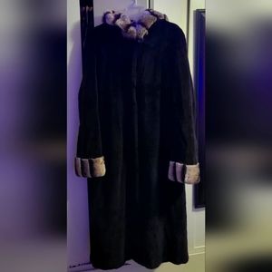 Beautiful Black & White Mink